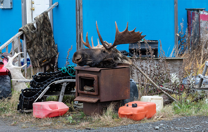 A moose head sits on an old stove in the yard of a home in Unalakleet.