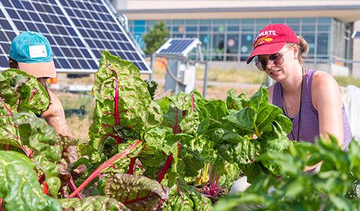 NREL Innovations Help Consumers Invest in Our Planet