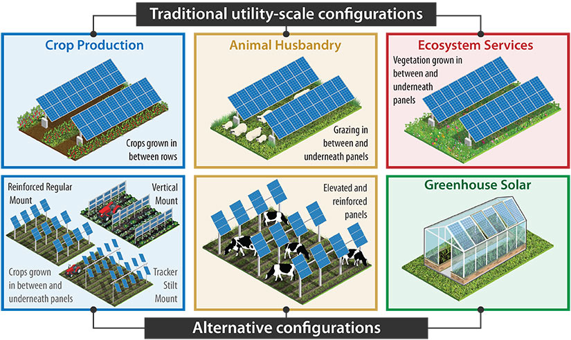 A graphic showing six types of agrivoltaics configurations, including traditional utility-scale configurations of crop production, animal husbandry, and ecosystem services; and three alternative configurations including crops grown in between and under panels, elevated reinforced panels, and greenhouse solar.