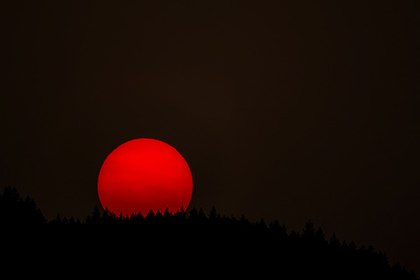 A red sun rising over a forest