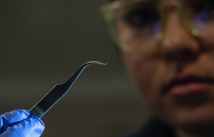 A scientist holds up micro plastics with tweezers.