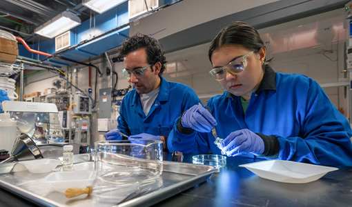 Two scientists wearing safety goggles work with petri dishes in a lab. 