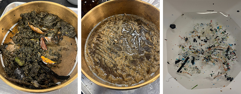 Three images of biological materials and plastics samples being broken down.