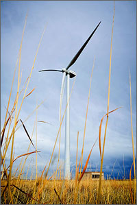 A wind turbine in a field of brown grass.