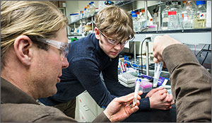 Photo of two men in a laboratory setting looking at vials containing an enzymatic digestion assay of cellulose.