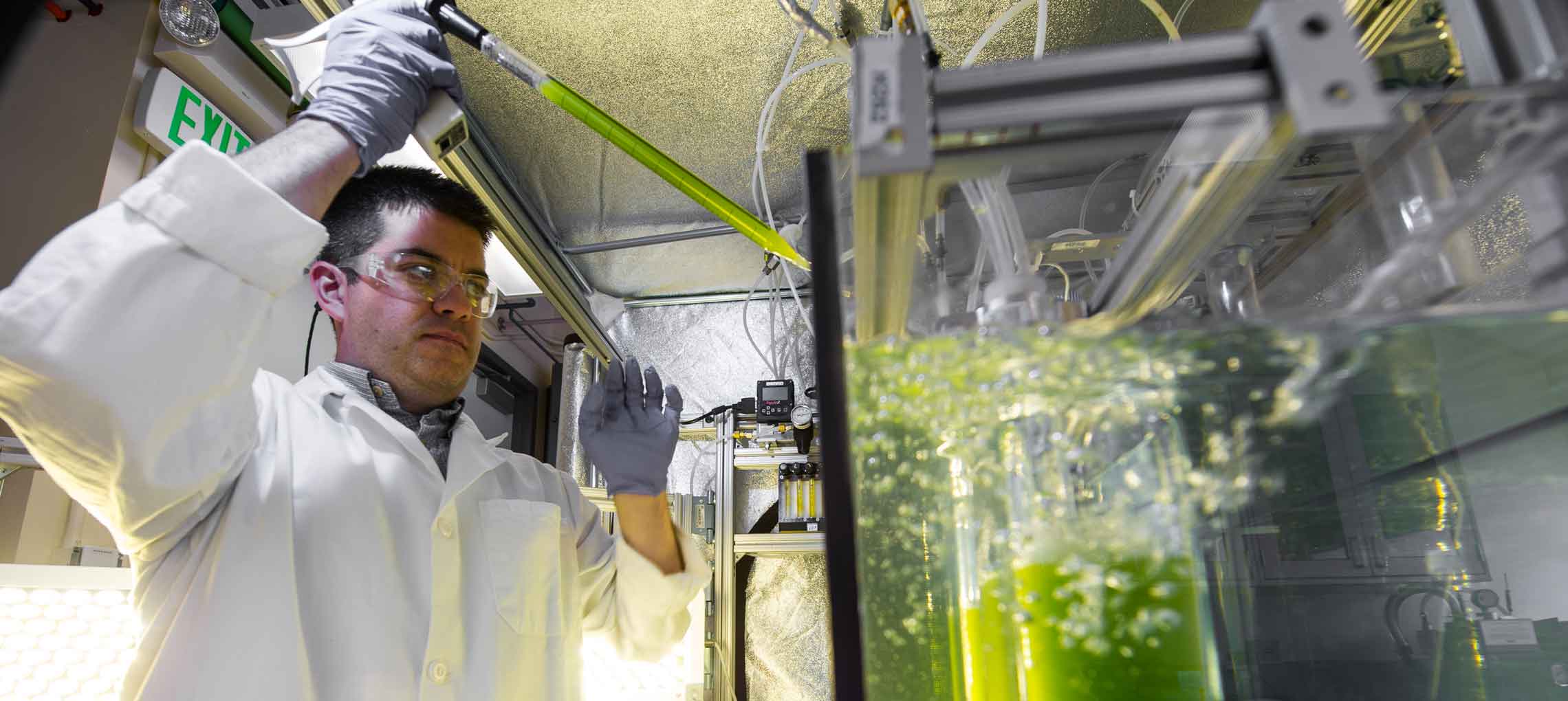 Photo of a man in a lab coat standing next to green algae bubbling in containers.