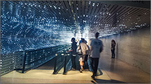 Photo shows students looking at wall of lights.