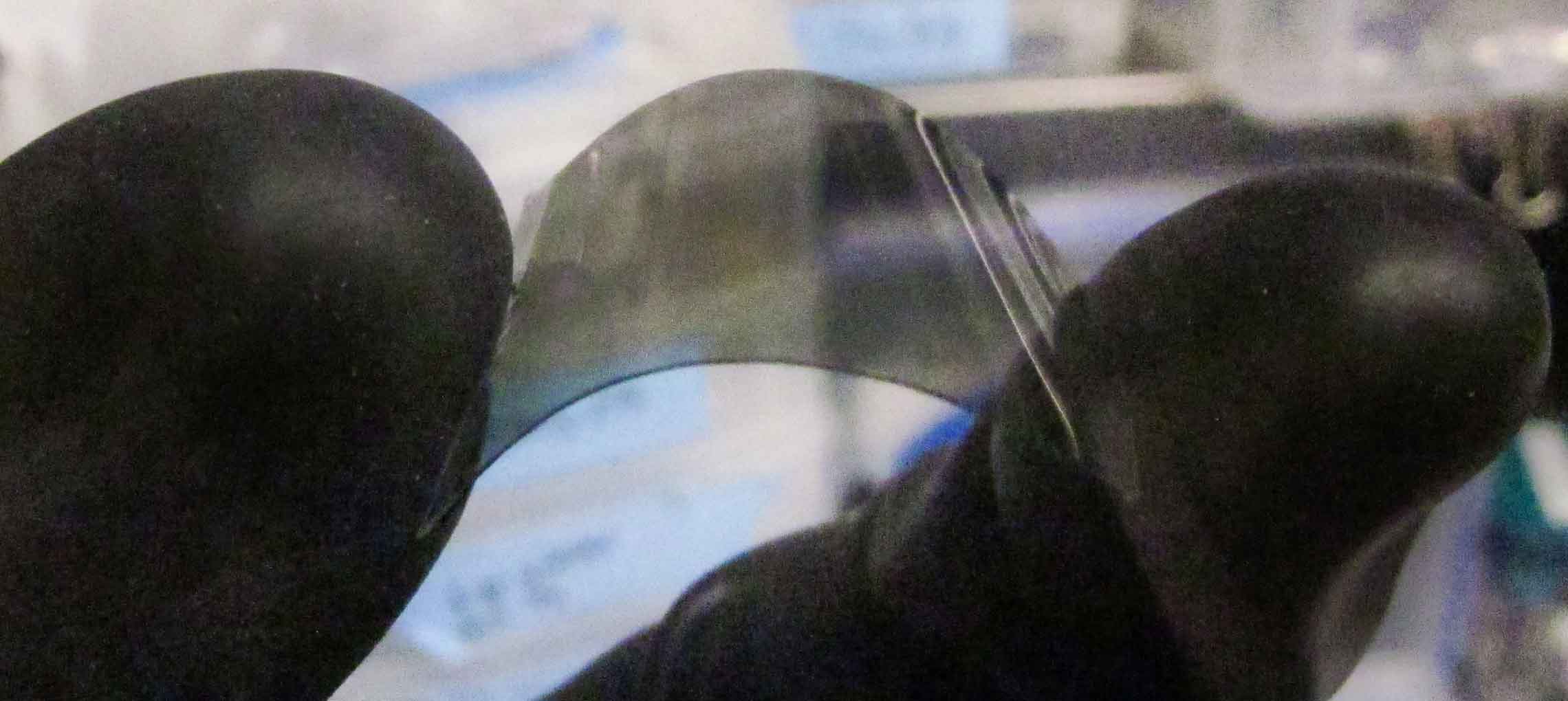 Photo shows a small piece of flexible film held between two fingers.