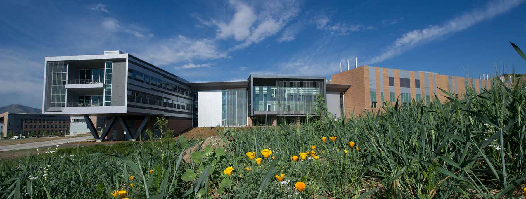 Photo of the Energy Systems Integration Facility.