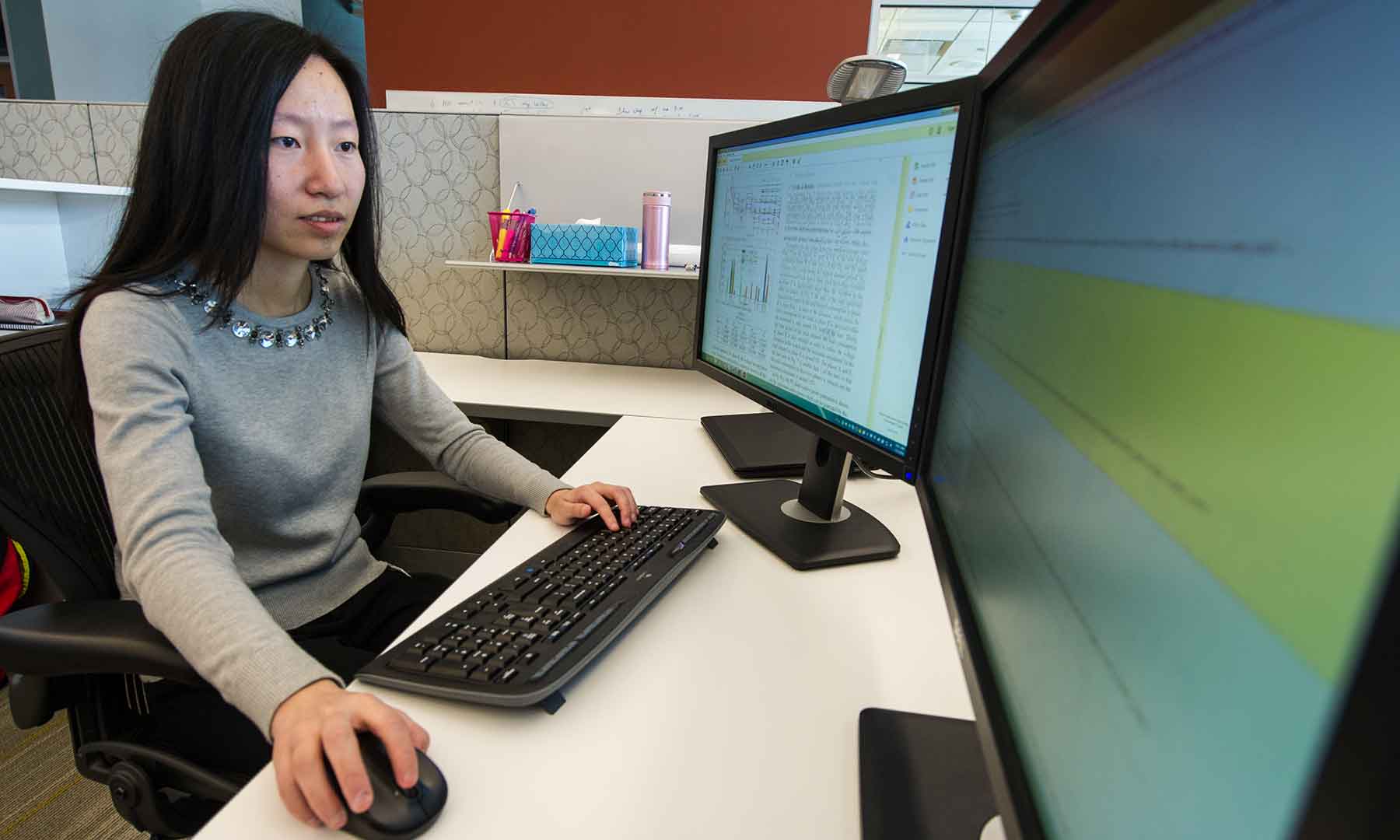 A woman works at a computer.