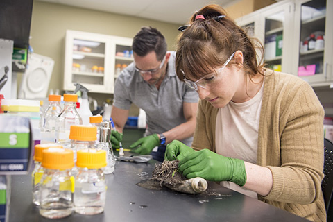 Two researchers examine partially degraded plastic bottles in a laboratory