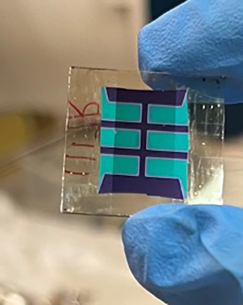 Photo shows a gloved hand holding a bifacial perovskite solar cell.