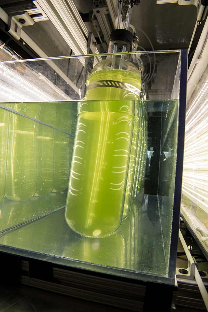 A large container of a green liquid.
