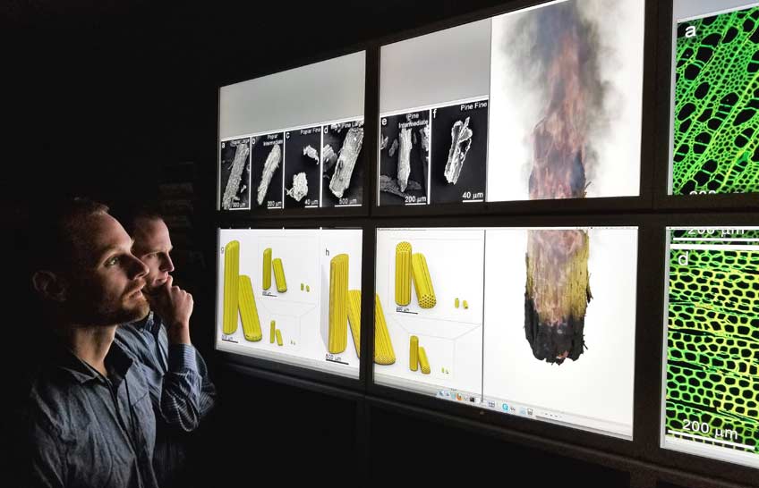 Two men looking at large computer screens.