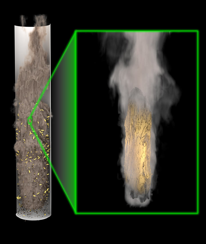 Rendering of a milled pine particle undergoing fast pyrolysis.