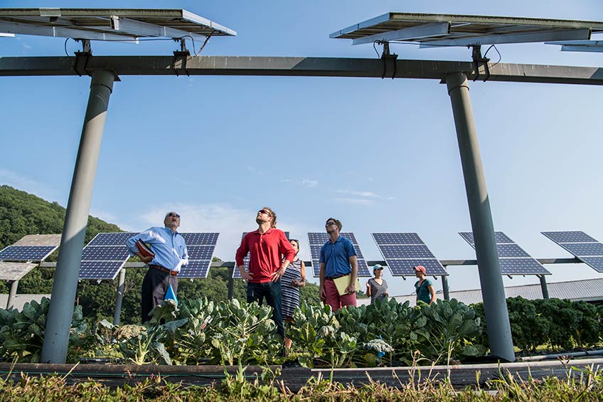 Photo of a field with solar panels, in the foreground, three men wearing sunglasses are looking up to the sky, three women are in the background.