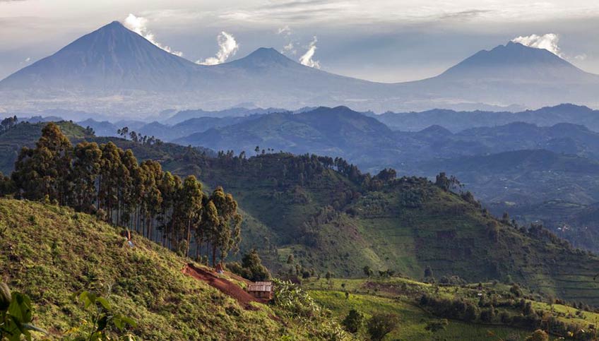 Rwanda landscape