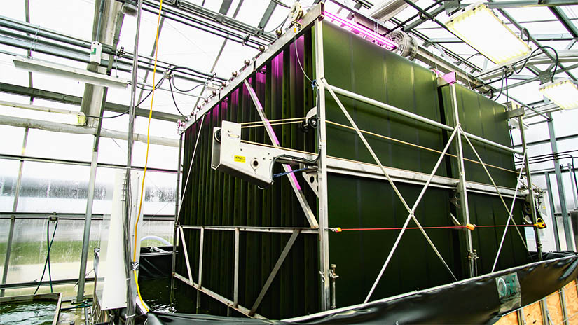 Photo of a revolving algal biofilm reactor