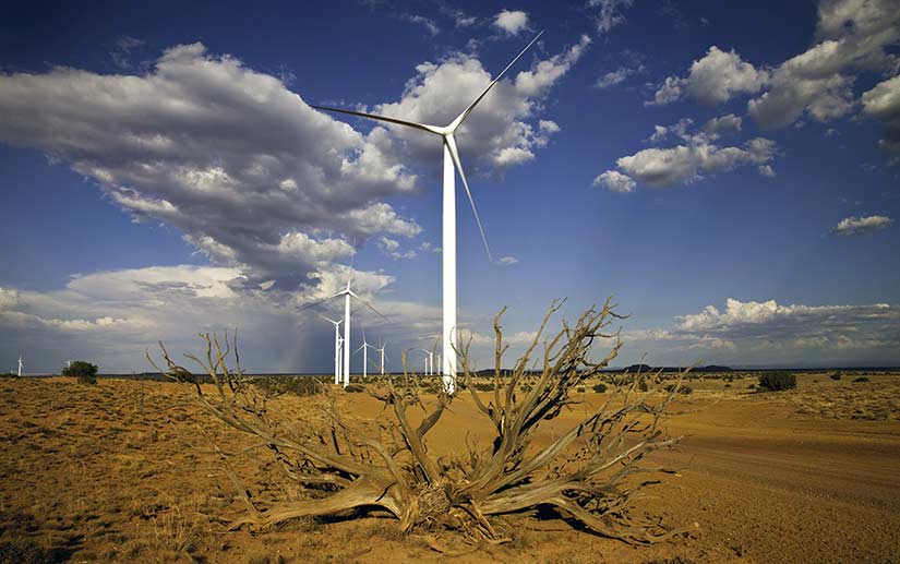 Photo of a large wind turbine in the middle of a dirt field covered with scrubby vegetation; a dried tree is in the foreground, several wind turbines are behind it, with blue skies and large white clouds in the background. 