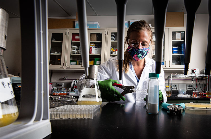 A researcher works with beakers in the lab.