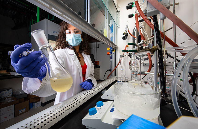 A researcher holds a beaker under a ventilation hood in a lab