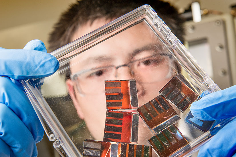 A researcher works with hybrid perovskite solar cells in a lab.