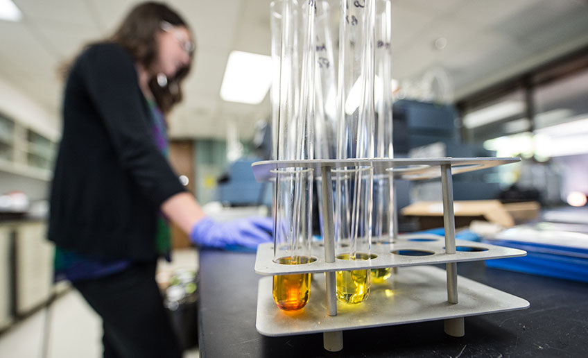 Test tubes containing chemicals arranged on a lab bench with a researcher in the background.