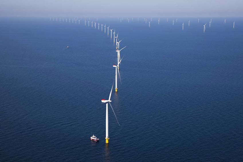 A field of turbines with an overcast sky.