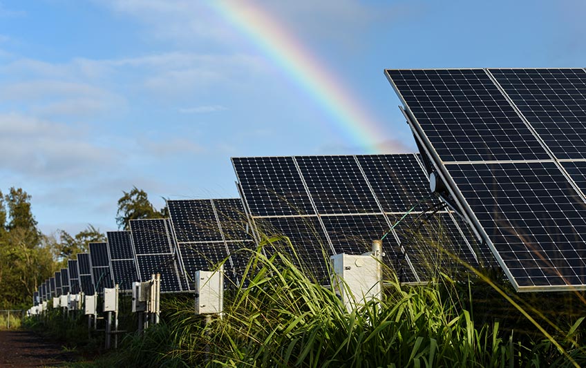 Picture of a group of solar panels in thick vegetation with a rainbow behind them.