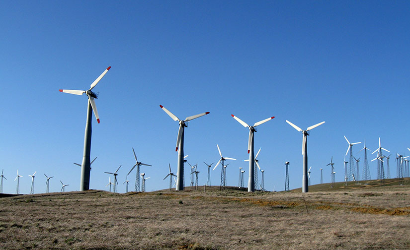 A field of wind turbines