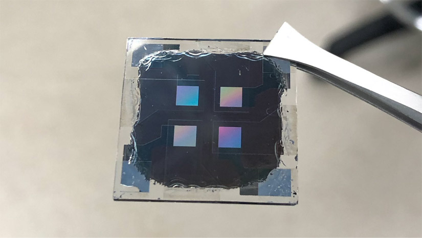 Photo shows the new perovskite architecture with all-back contacts.