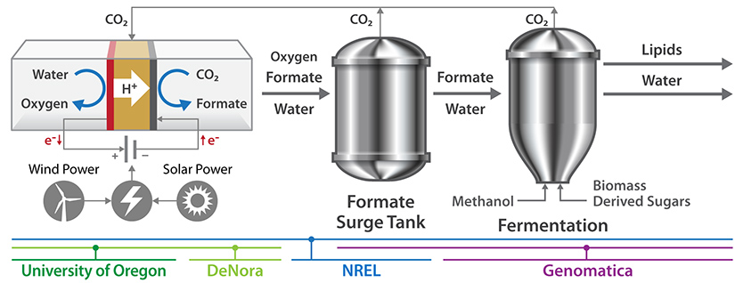 A schematic showing the process by which University of Oregon, DeNora, NREL, and Genomatica are working together on a fermentation process powered by renewable energy that recycles carbon dioxide with formate.