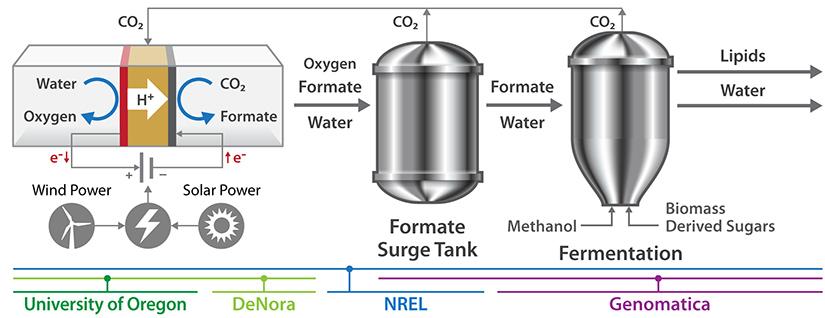 Scientists To Develop CO₂-Free Fermentation Technology Amid Surging Demand  for Low-Carbon Biofuel, News