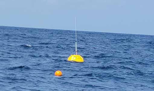 With Their Waverider Buoys, Researchers Collect Data on the Powerful Clean Energy Available in Our Oceans