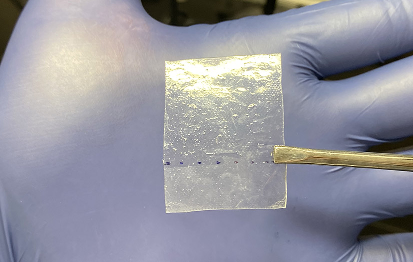 Photo shows a sample of the film intended to protect perovskite solar cells.