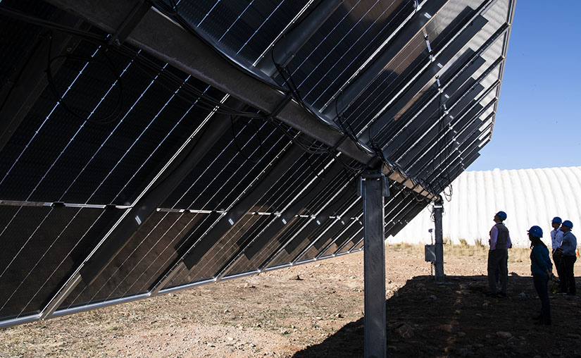 Photo of a group of people outside looking up at the underside of a large array of solar panels