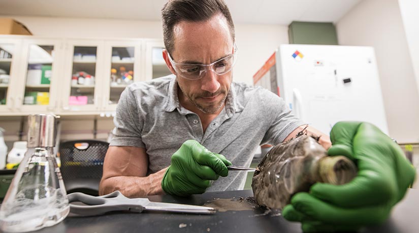 A man examining a specimen in a lab.