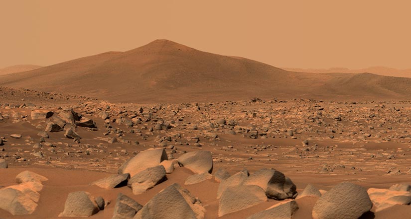 The barren, rocky surface of Mars