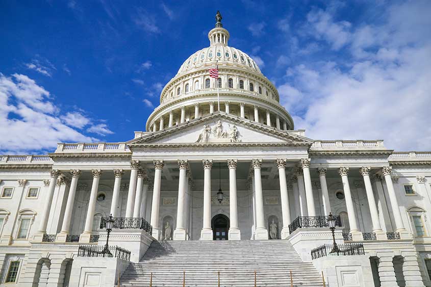 Capitol building viewed from its front steps