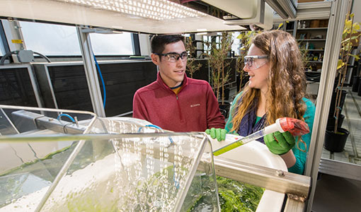 AlgaePrize Student Finalists Announced