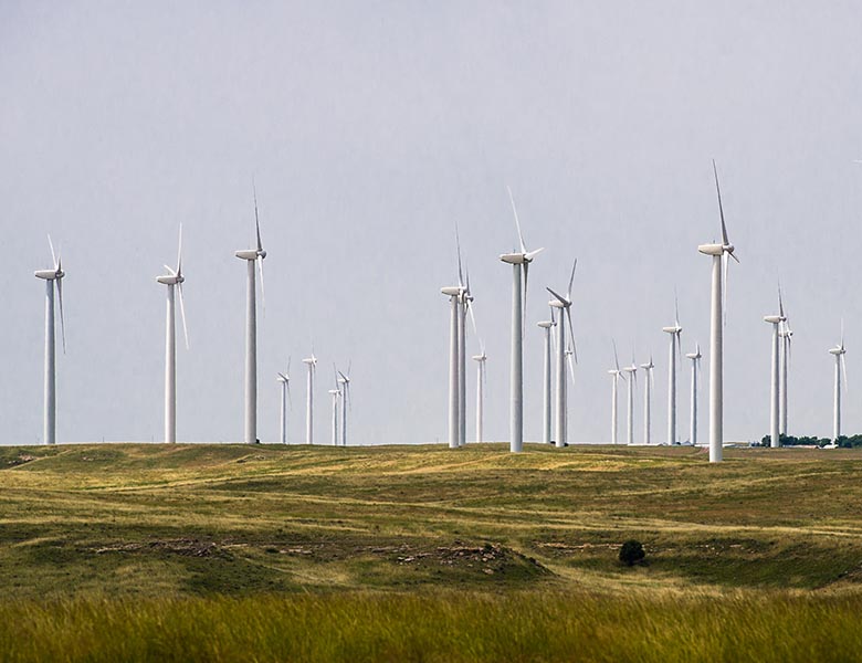 A wind farm in a field.