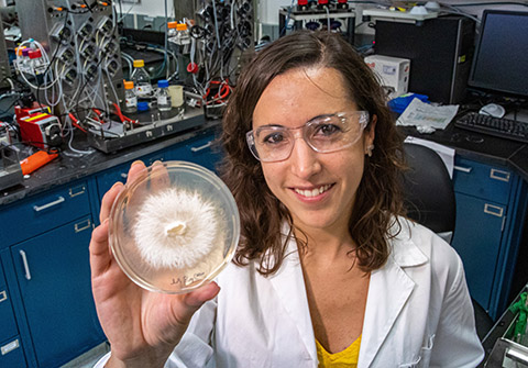 Photo of a woman holding up a petri dish containing fungi in a lab