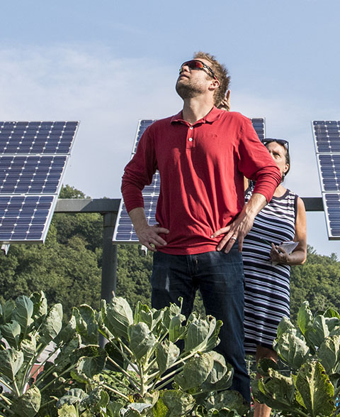 Photo of a man outside surrounded by plants and solar panels