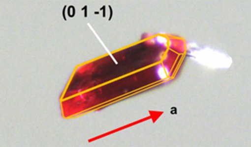 NREL Researchers Create Order From Quantum Chaos