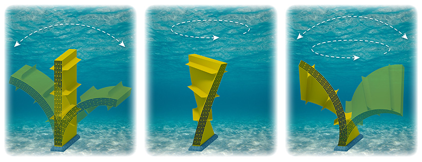 Trzy ilustracje przypominającego klapę urządzenia wykorzystującego energię fal, zamontowanego na dnie morskim i gwałtownie wyginającego się w różnych kierunkach