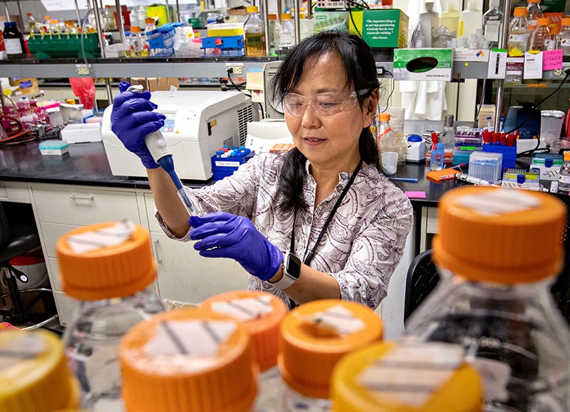 A scientist in a lab uses a pipette to add liquid to a test tube.