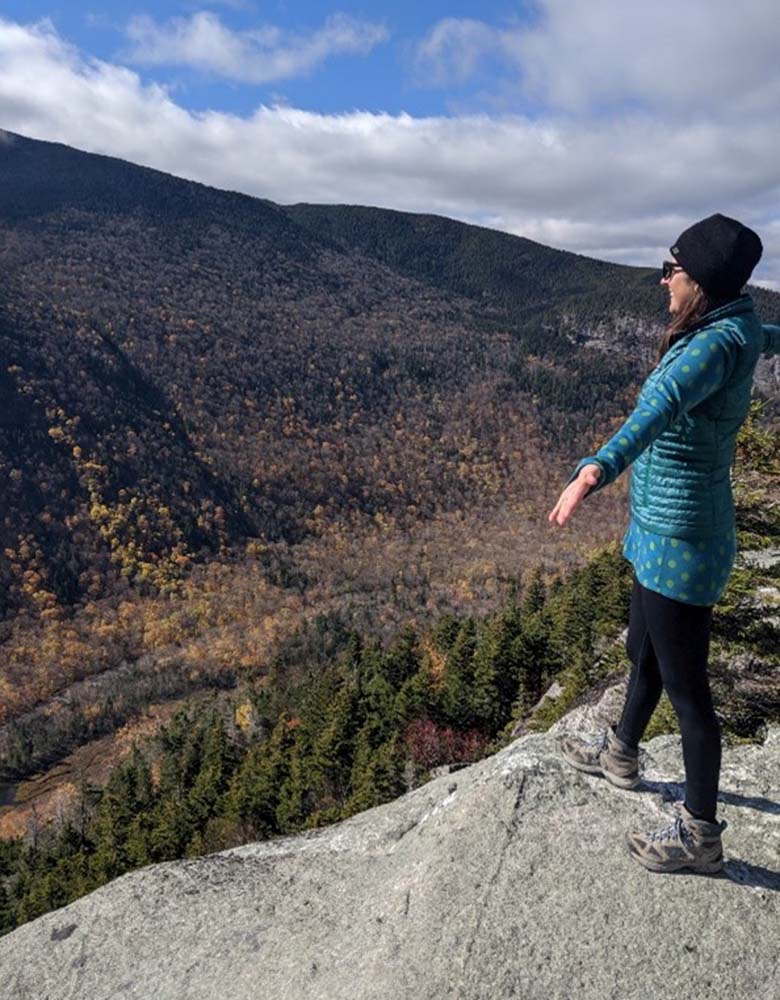 A person standing on a rock overlooking a forested valley.