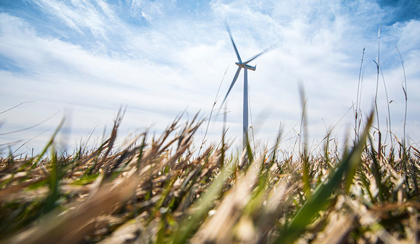Photo of wind turbine spinning in the foreground with a close-up view of grassland in the foreground, showing the landscape of the wind project.