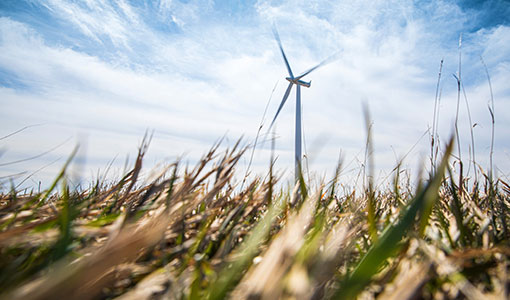 NREL Explores the Dynamic Nature of Wind Deployment and Land Use