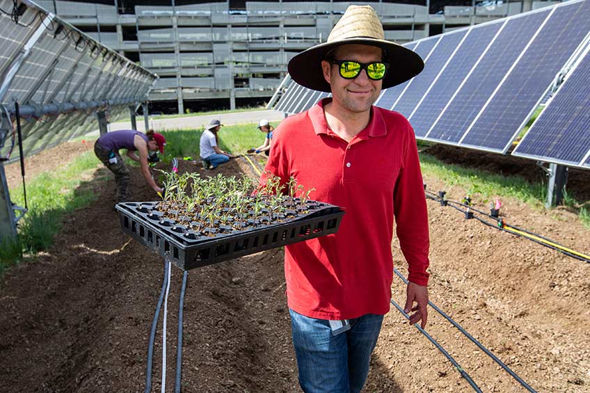 Photograph of a man in a red shirt carrying a tray of seedlings, with solar panels in the background.